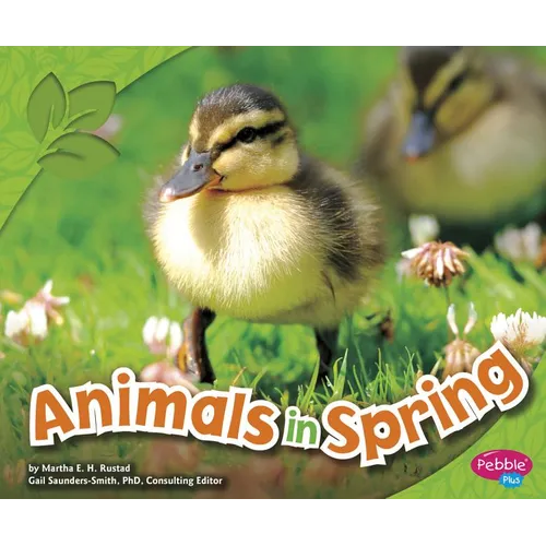 Animals in Spring