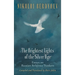The Brightest Lights of the Silver Age: Essays on Russian Religious Thinkers