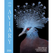 Aviary: The Bird in Contemporary Photography
