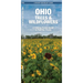 Ohio Trees & Wildflowers: A Folding Pocket Guide to Familiar Plants