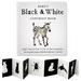 Baby's Black and White Contrast Book: High-Contrast Art for Visual Stimulation at Tummy Time