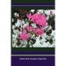 Selected Azalea Hybrids