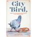 City Bird: Explore the Charming Metropolitan Melodies of Our Feathered Friends