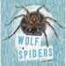 Wolf Spiders
