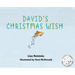 David's Christmas Wish