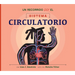Un Recorrido Por El Sistema Circulatorio