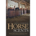 Horse Scents: Thirteen Short Stories in Search of a Novel