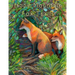 Hope Mountain: Fox Trails