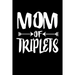 Mom Of Triplets: Family Collection