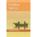 Ending Stress: A Practical Guide to Nondual Meditation
