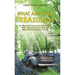 What Are Your Treasures?: My Miraculous Journey through Heaven: What I Discovered About How God Works Will Revolutionize Your Life.