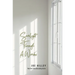 Sunlight Through A Window