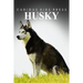 Husky - Curious Kids Press: Kids book about animals and wildlife, Children's books 4-6