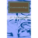 Gastroenterology: Fast Focus Study Guide