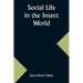 Social Life in the Insect World