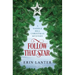 Follow That Star: A Saddle Hill Christmas Mystery