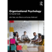 Organisational Psychology: An Essential Guide
