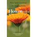 Plant Spirit Teachings of Six Healing Herbs