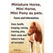 Miniature Horse, Mini Horse, Mini Pony as Pets. Facts and Information. Miniature Horses Care, Health, Keeping, Raising, Training, Play, Food, Costs an