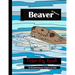 Beaver Coloring Book