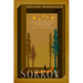 Sorrow