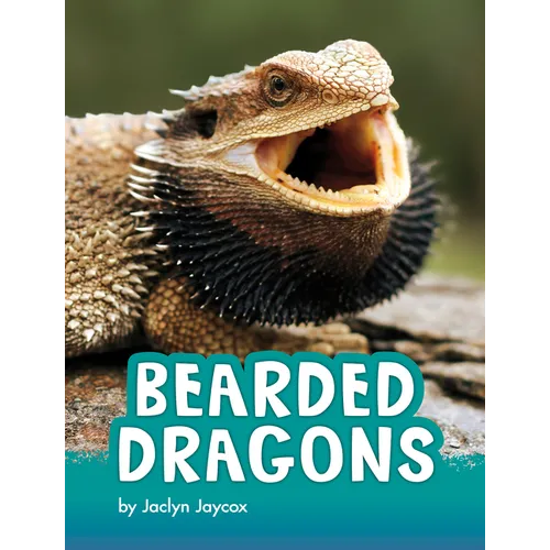 Bearded Dragons