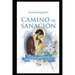 Camino de Sanación: Lazos Paternos