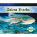 Zebra Sharks