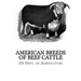 American Breeds of Beef Cattle: With Remarks on Beef Cattle Pedigrees