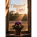 Filtered Light: A Novel of Grace and Redemption