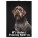 Wirehaired Pointing Griffon: Dog breed overview and guide