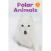 Polar Animals Big Book: English Edition
