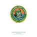 Little Miss Merit Badge: A Memoir