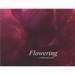 Flowering: J. Krishnamurti