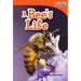 A Bee's Life