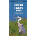 Great Lakes Birds: An Introduction to Familiar Species