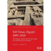 Tell Timai, (Egypt) 2009-2020: The Ptolemaic-Roman north western temple zone and Roman city excavations