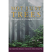 Not Just Trees: The Legacy of a Douglas-Fir Forest