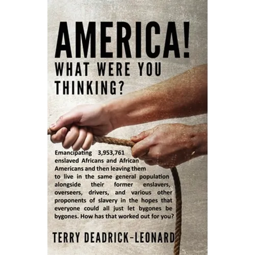 America! What Were You Thinking?: Emancipating 3,953,761 enslaved Africans and African Americans and then leaving them to live in the same general pop