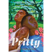 Pritty