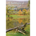 A Sabbatical Primer for Pastors: How to Initiate and Navigate a Spiritual Renewal Leave