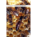 The Introduction of Queen Bees