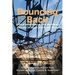 Bouncing Back: Critical reflections on the Resilience Concept in Japan and South Africa