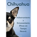 Chihuahua: Adiestramiento y Entrenamiento Eficaz en Tiempo Record.