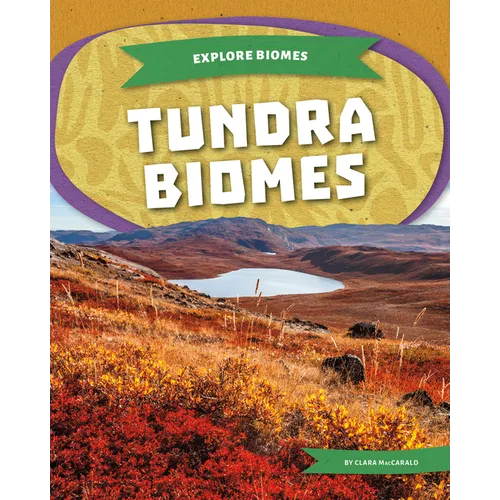 Tundra Biomes