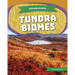 Tundra Biomes