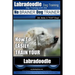 Labradoodle Training: Dog Training With the No BRAINER Dog TRAINER "We Make it That Easy" How to EASILY Train Your Labradoodle