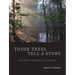 These Trees Tell a Story: The Art of Reading Landscapes