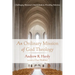 An Ordinary Mission of God Theology: Challenging Missional Church Idealism, Providing Solutions