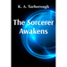 The Sorcerer Awakens